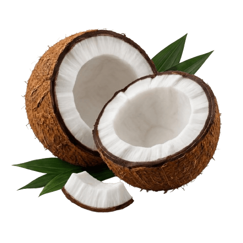 Coconut