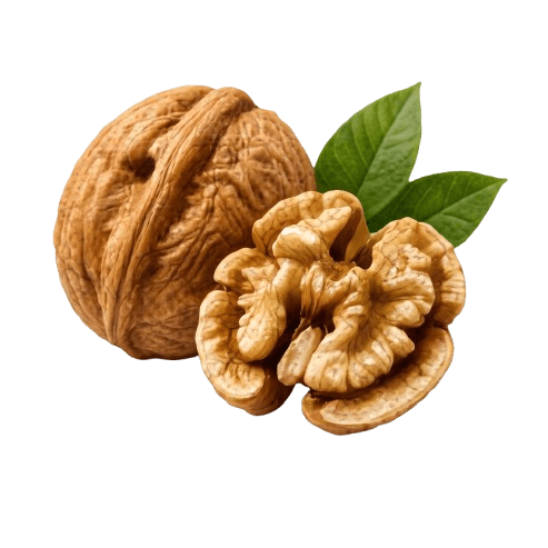 Walnut